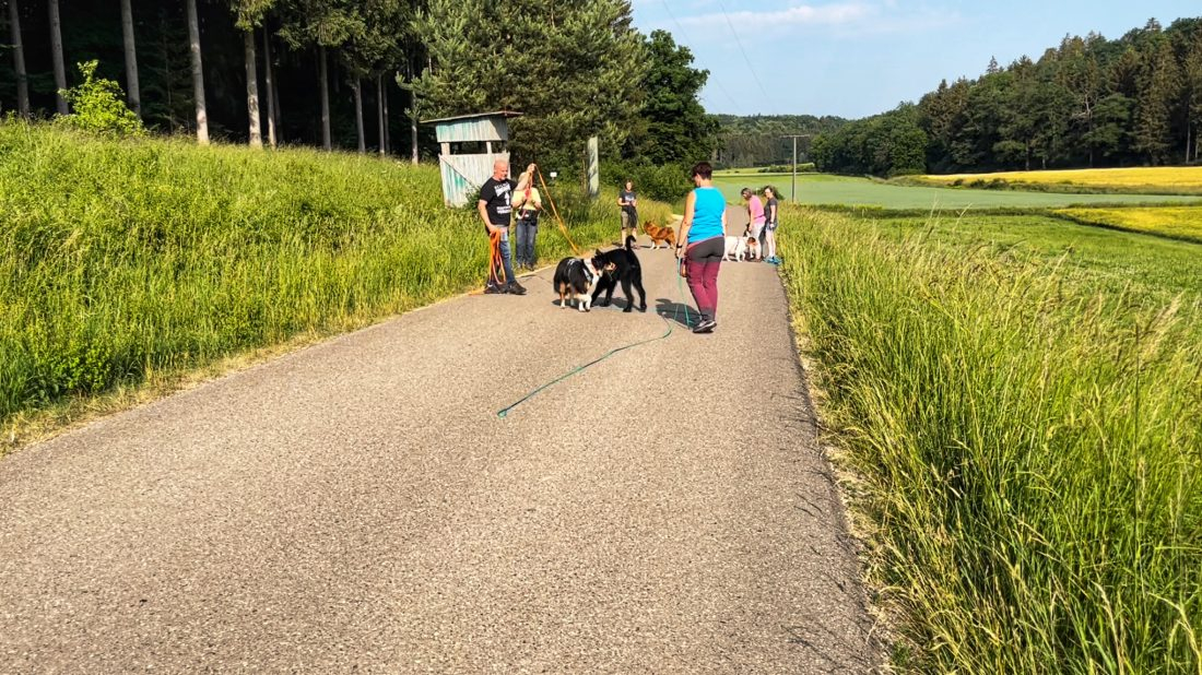 Leckerlis - Social Walk oder Silent Walk