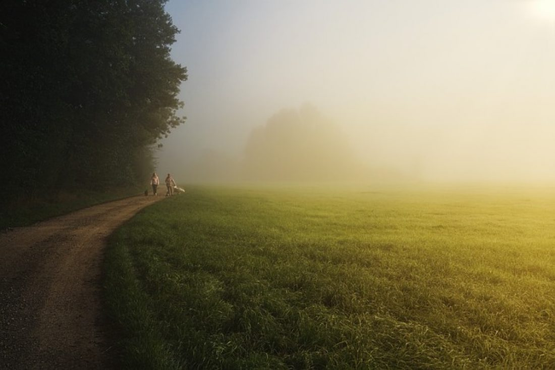 Kurs - Wald und Wiesen Training